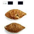 Roman soldiers pelted rebels with signed slingshot bullets