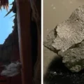Meteorite that smashed through a New Jersey roof reveals clues to life’s origins