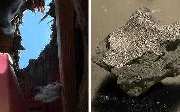 Meteorite that smashed through a New Jersey roof reveals clues to life’s origins