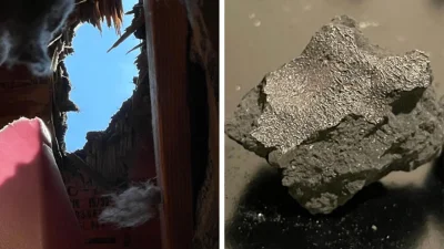 meteorite-that-smashed-through-a-new-jersey-roof-reveals-clues-to-lifes-origins.webp Meteorite that smashed through a New Jersey roof reveals clues to life’s origins