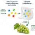 Transforming polyamide microplastics into light-emitting carbon quantum dots for UV-blocking food packaging