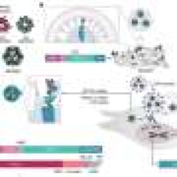 AI-designed proteins enable a new generation of RNA transporters