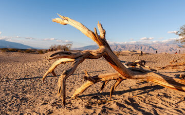 What Is the Hottest Place on Earth? It Depends on What You Measure