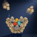 Oxford scientists discover how viruses build themselves without a blueprint
